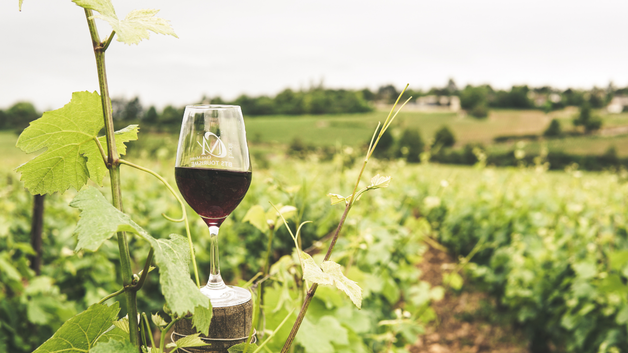 Wine Country